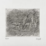 Peces en blanco y negro.